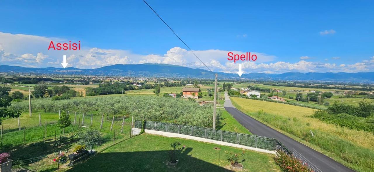 Delizioso Appartamento Collinare Limigiano Ngoại thất bức ảnh
